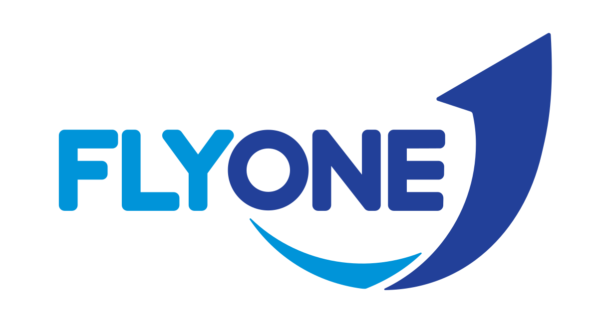Logo Fly Egypt